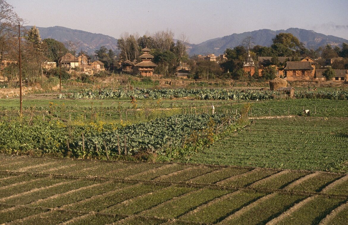 udoli udoli