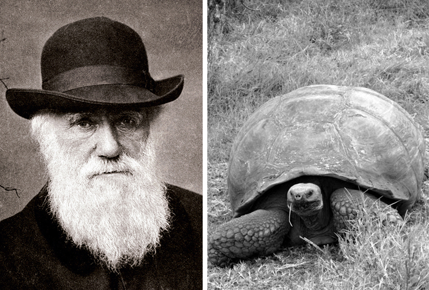 Charles Darwin