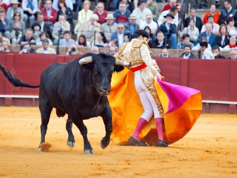 toreador