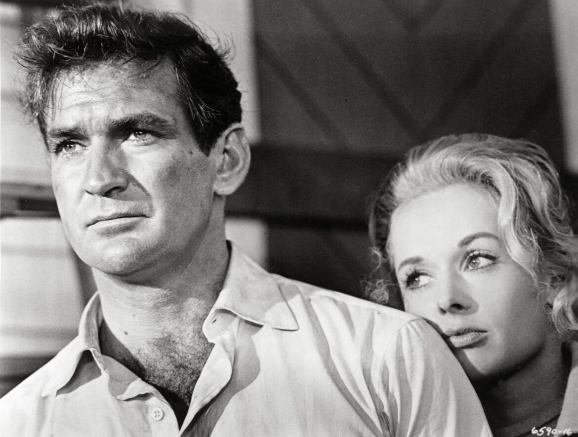 rod taylor ptaci
