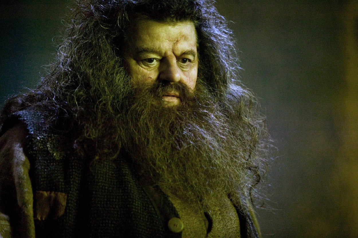 Hagrid