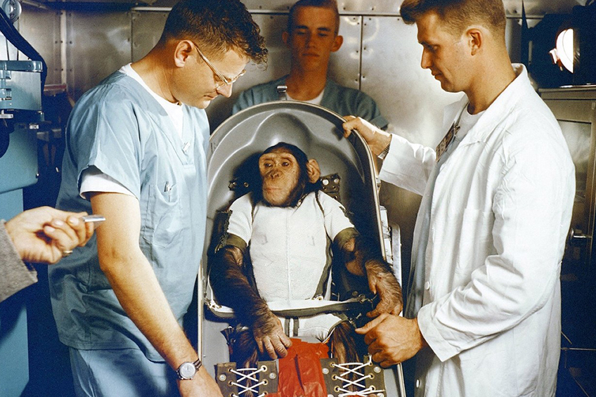 Ham simpanc astronaut