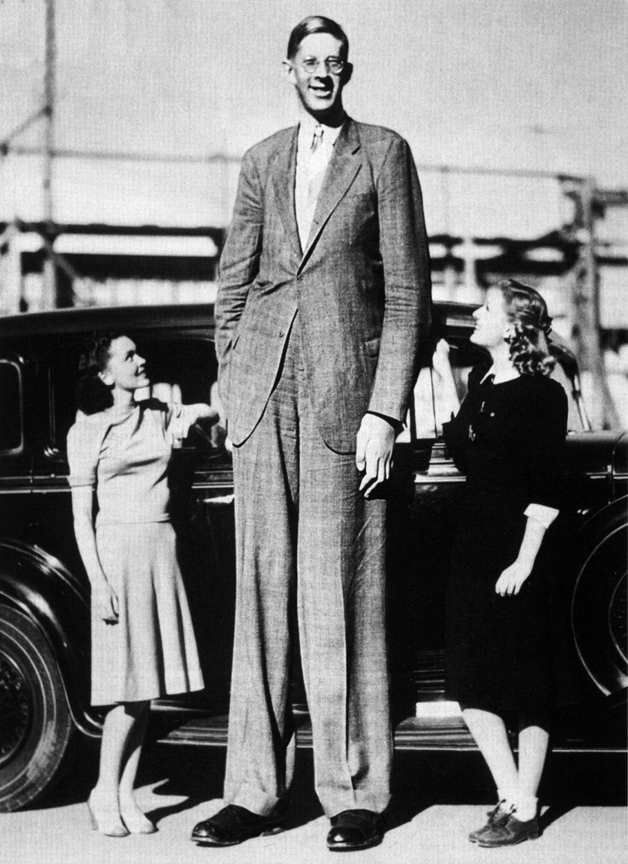 Robert Wadlow