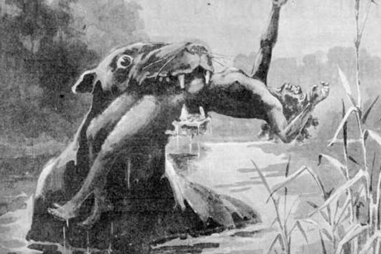 Bunyip
